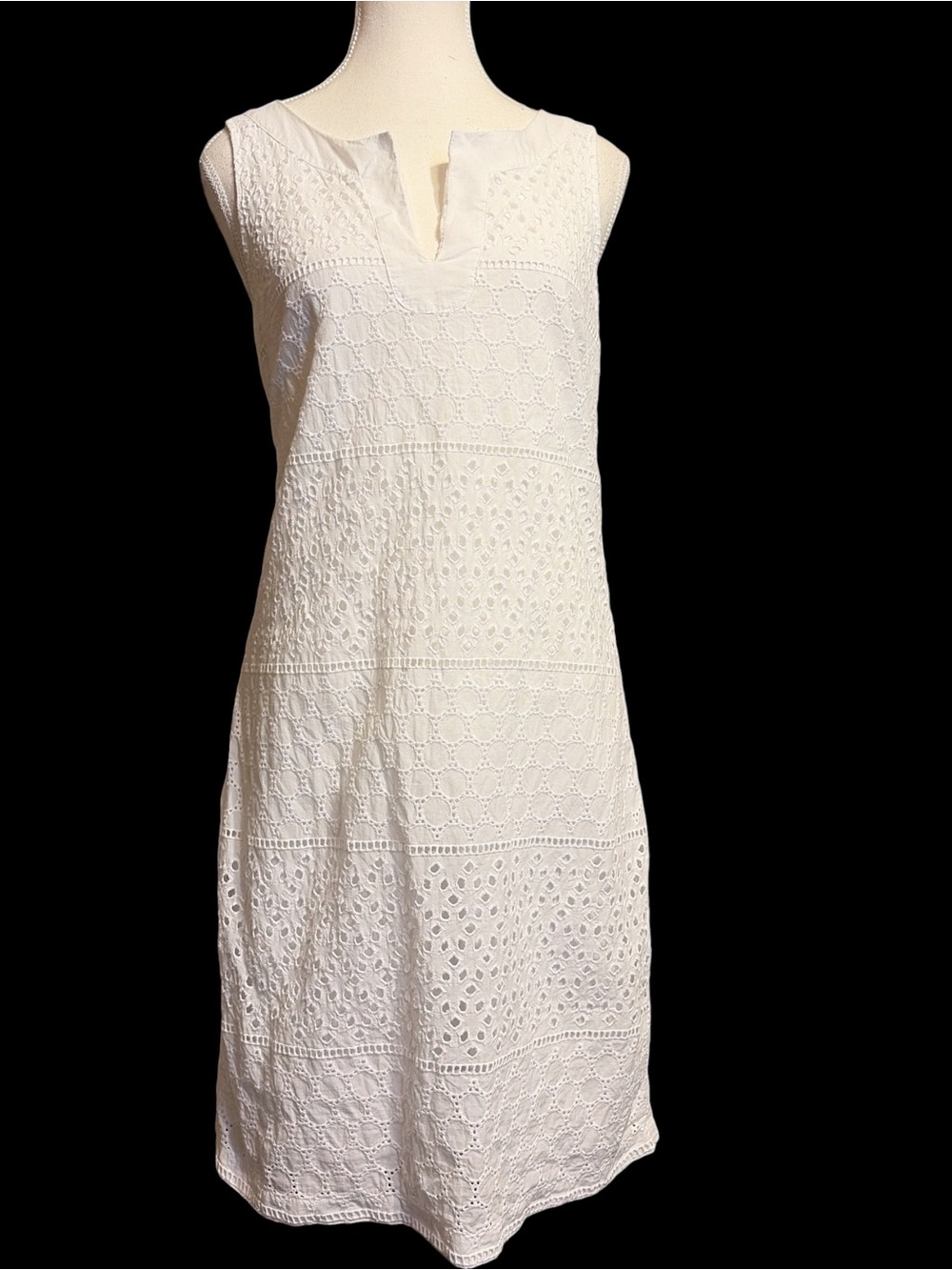 Banana Republic Factory White Eyelet Shift Dress
